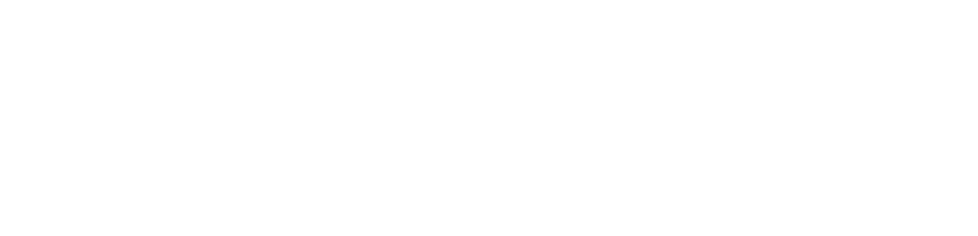 Danver logo
